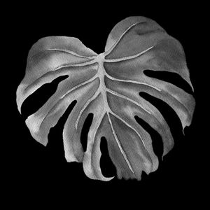 DARKNESS LEAF II