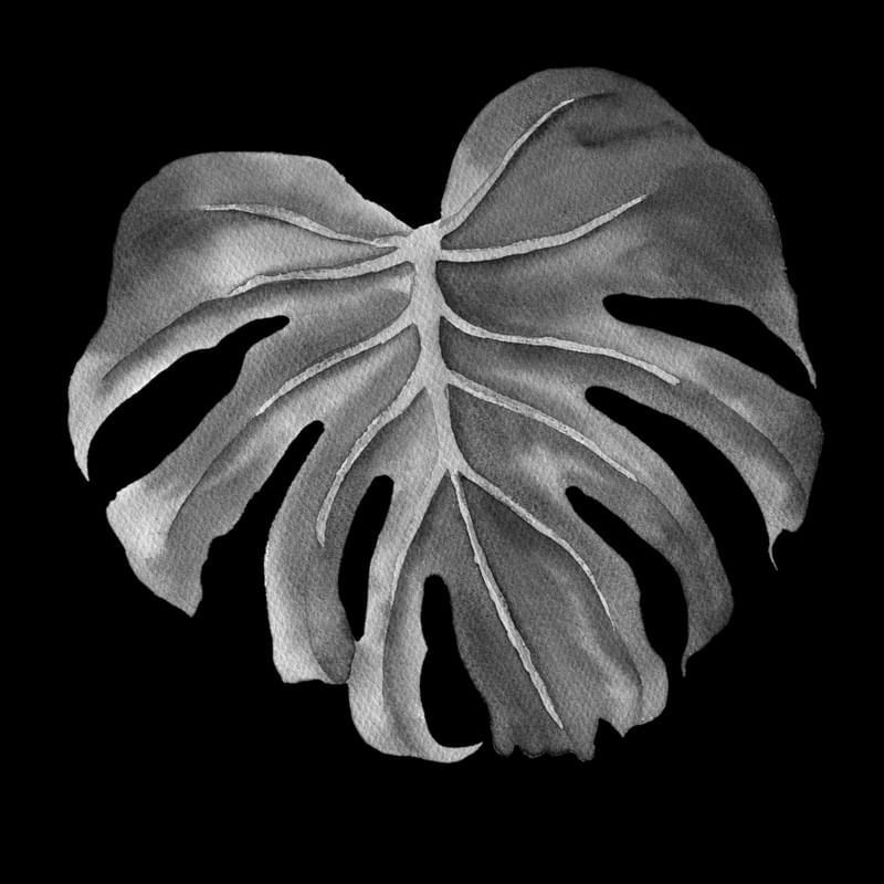 DARKNESS LEAF II