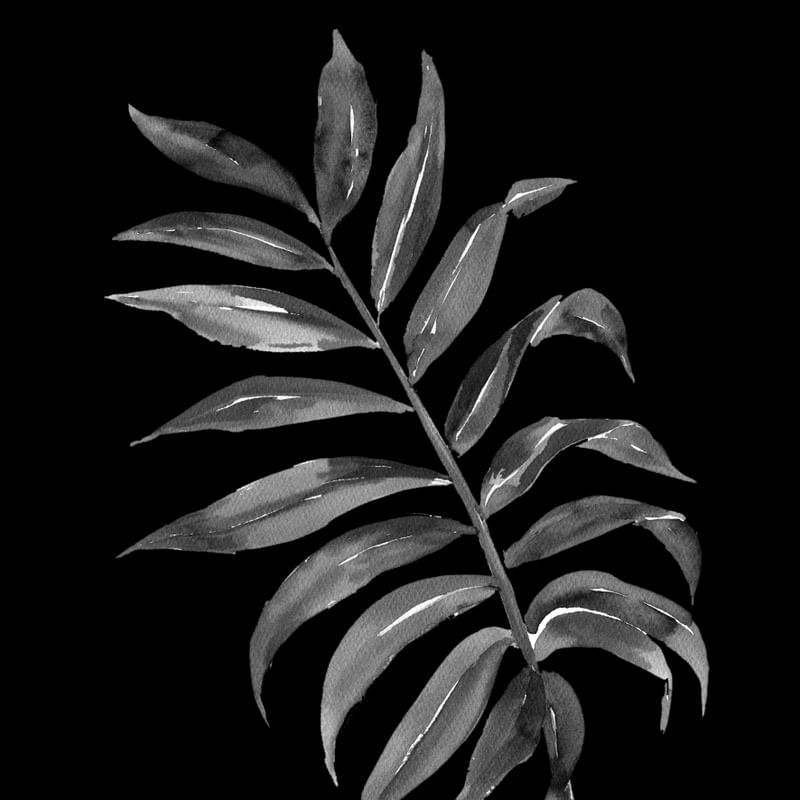 DARKNESS LEAF III
