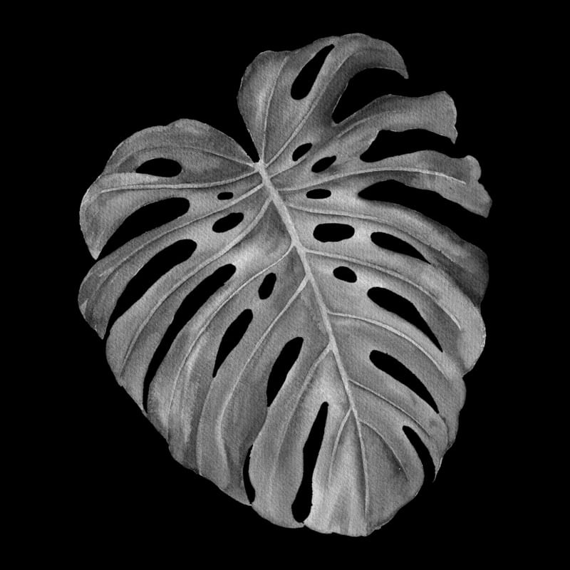 DARKNESS LEAF IV