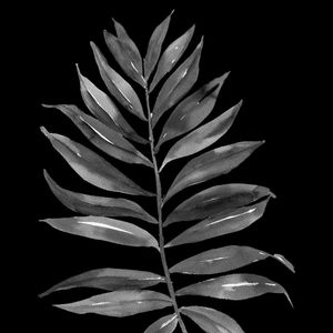 DARKNESS LEAF V