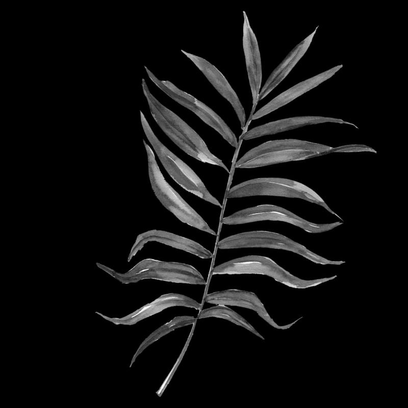 DARKNESS LEAF VI