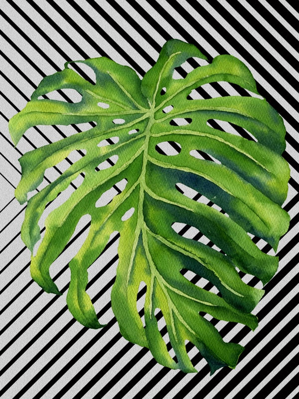 GRAPH LEAF I