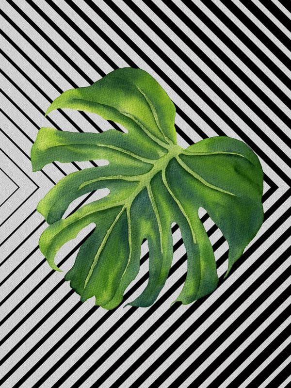GRAPH LEAF II