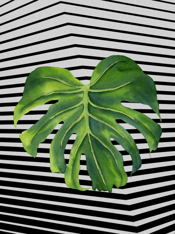 GRAPH LEAF V