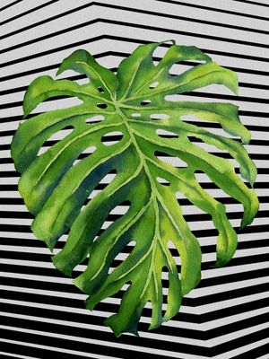 GRAPH LEAF VI