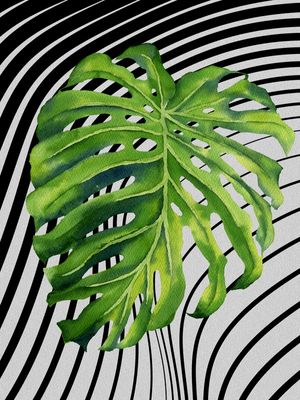 GRAPH LEAF VII