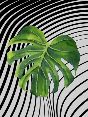 GRAPH LEAF VIII