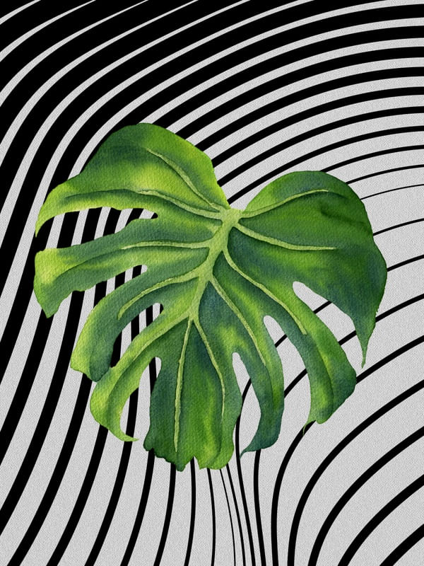 GRAPH LEAF VIII