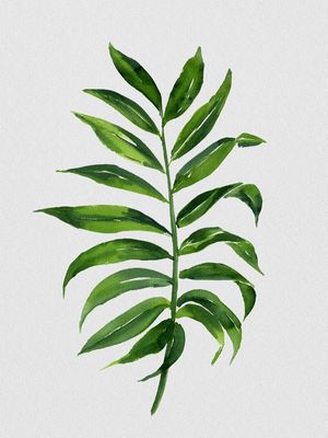 NATURE CUTOUT IV