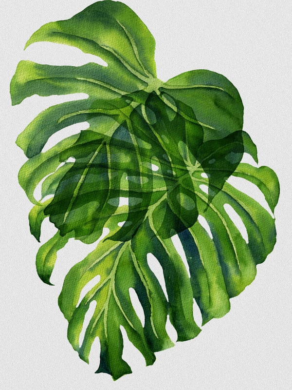 NATURE CUTOUT X