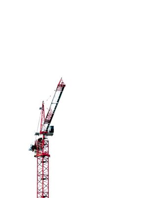 BALÉ DAS GRUAS 1