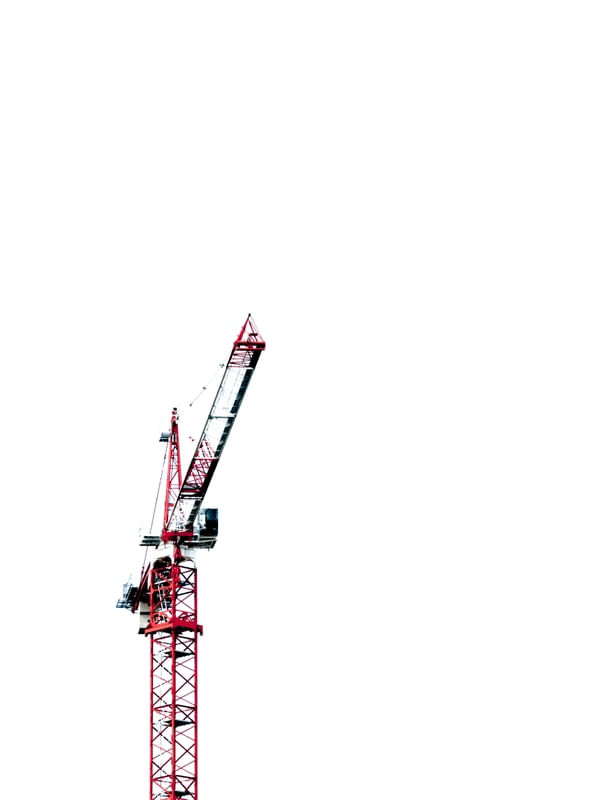BALÉ DAS GRUAS 1