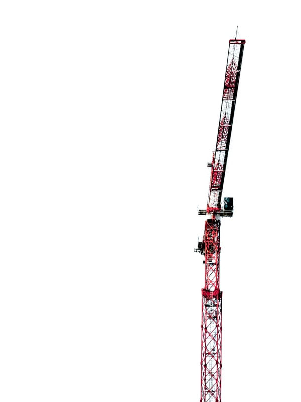 BALÉ DAS GRUAS 2