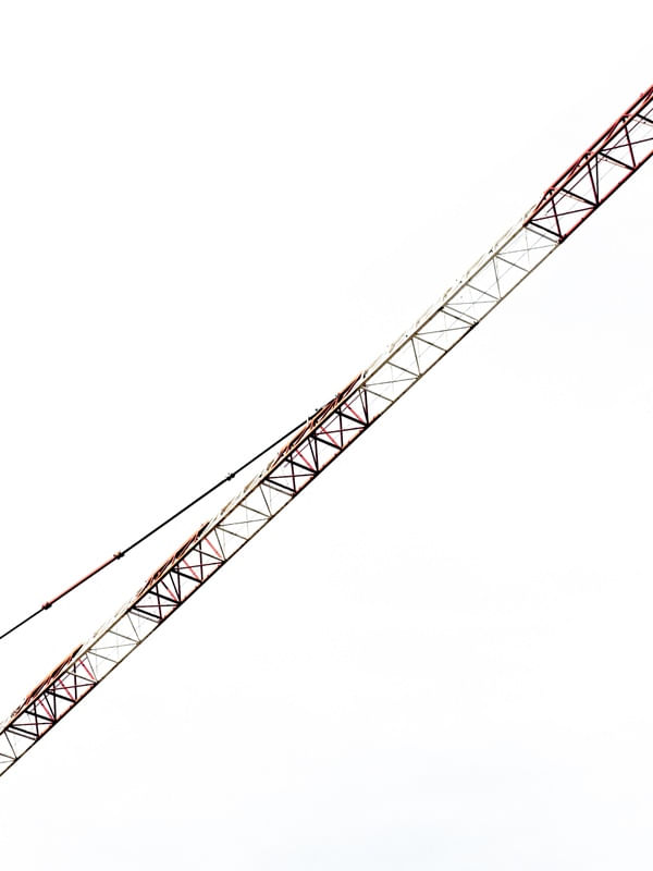 BALÉ DAS GRUAS 5