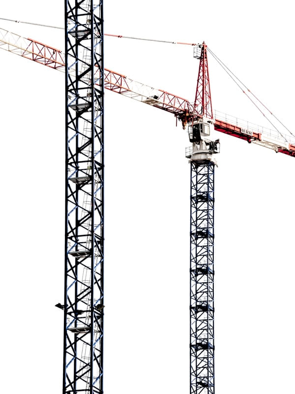 BALÉ DAS GRUAS 6