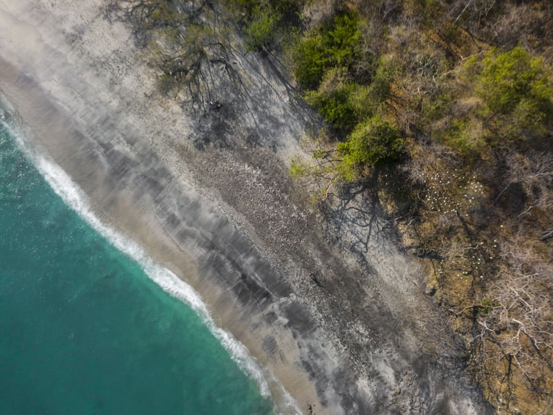PLAYA DANTITA DRONE