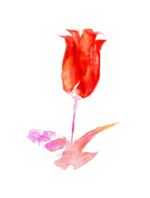 ROSA AQUARELADA
