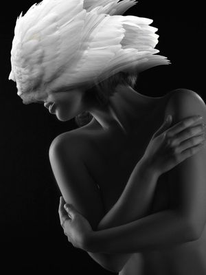 ANJO VOAR
