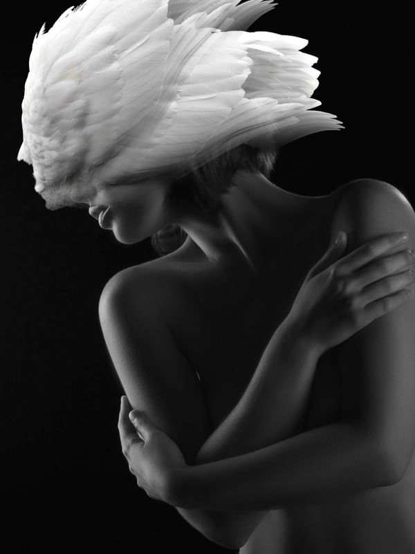 ANJO VOAR