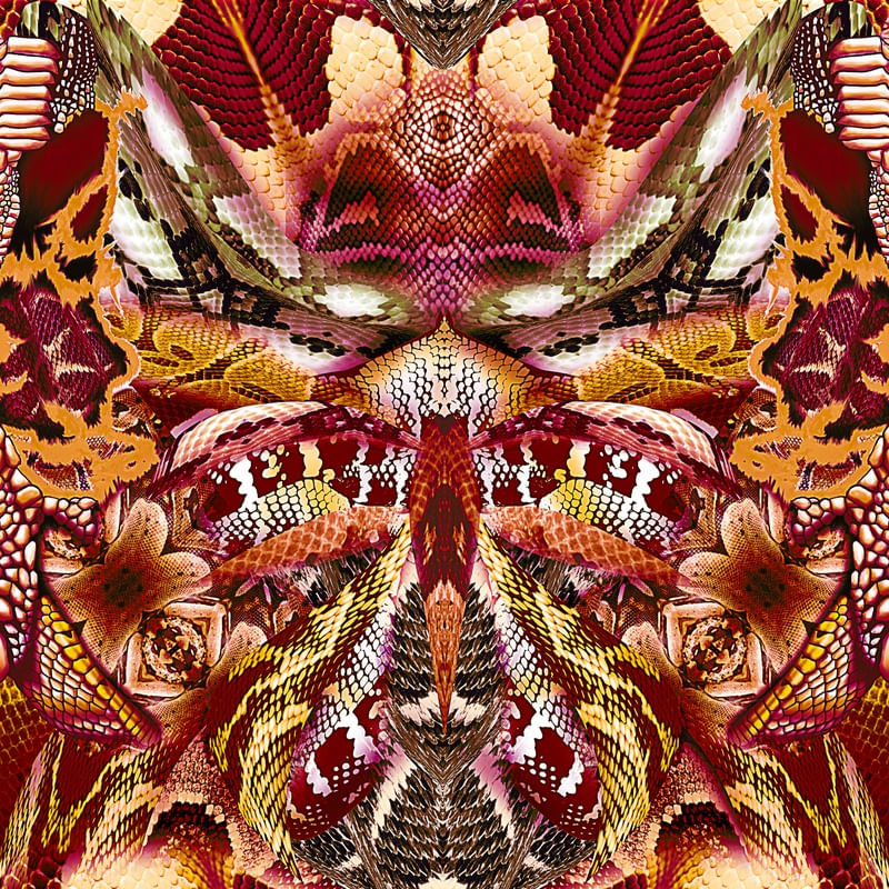 SERPENTÁRIO 2