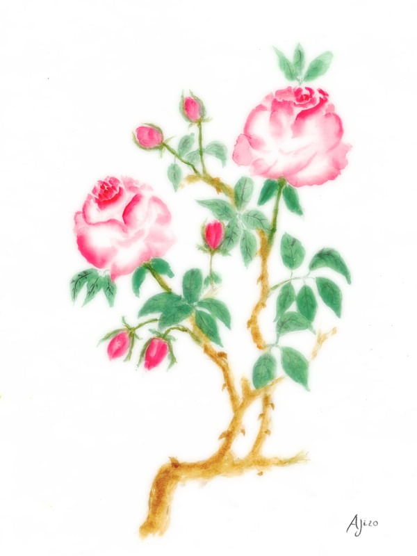 ROSA AJR1