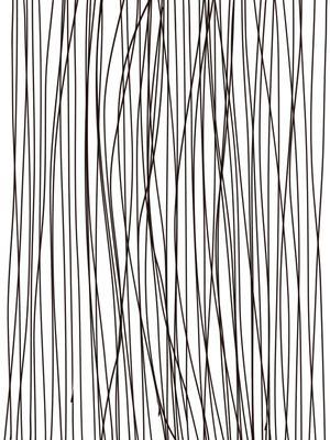 LINES II