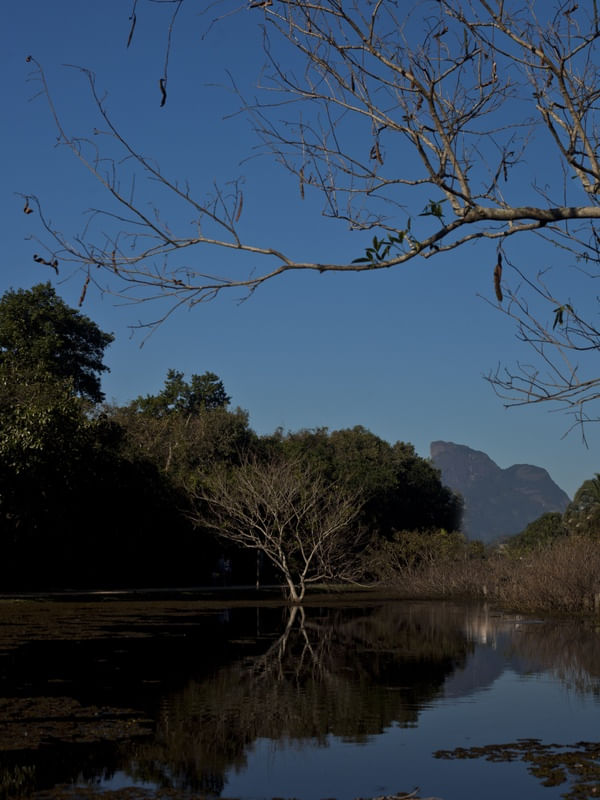 _MG_3639 - BOSQUE DA BARRA