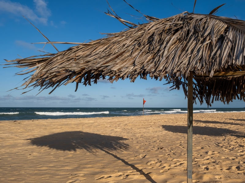 SOMBREIRO NA PRAIA DE BÚZIOS