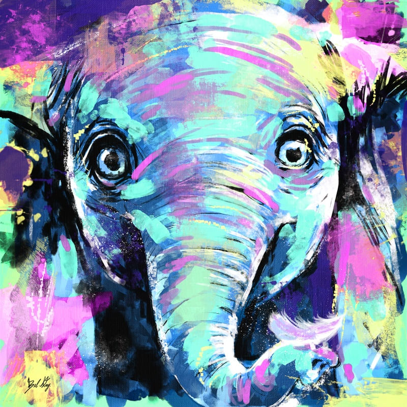 BABY DUMBO