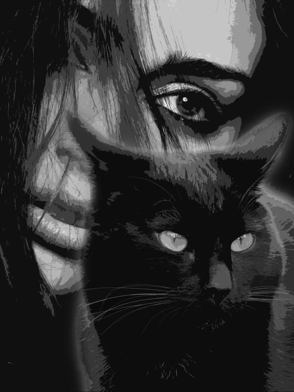 MY BLACK CAT