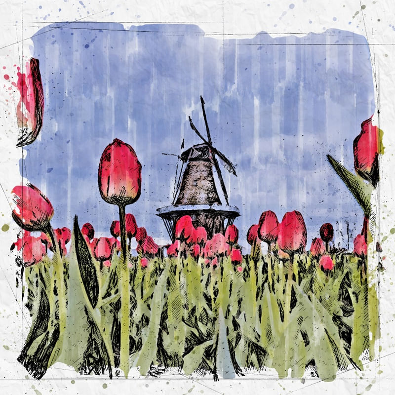 HOLANDA MOINHO E TULIPAS SKETCH AQUARELA