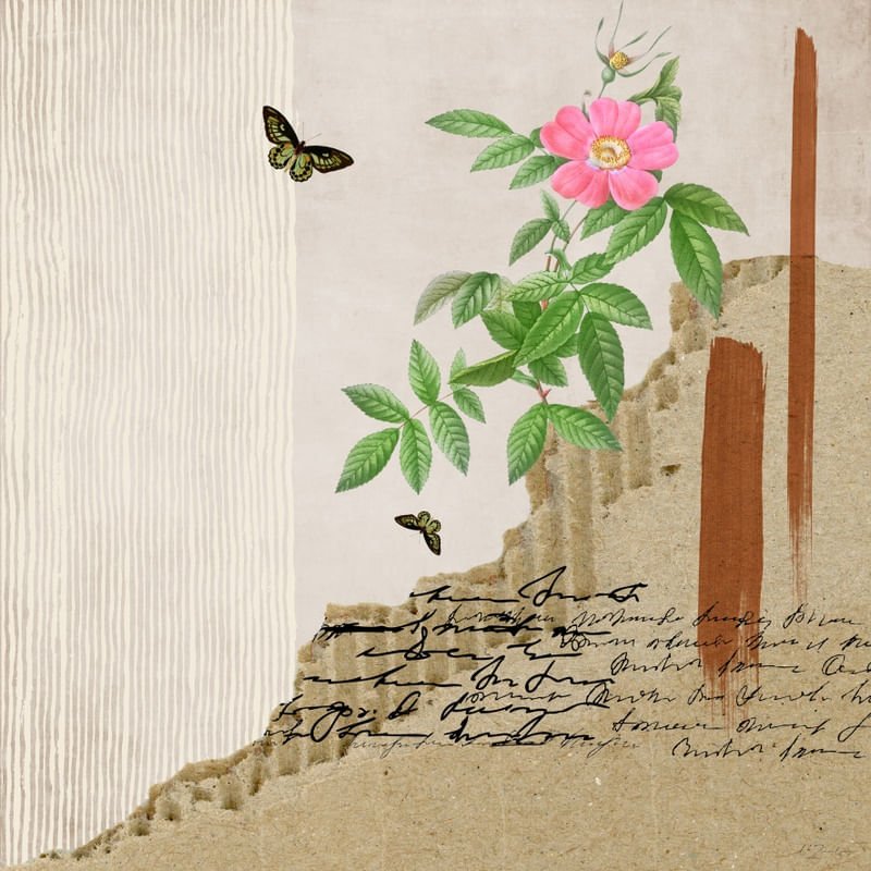 TORN PAPER GARDEN 1