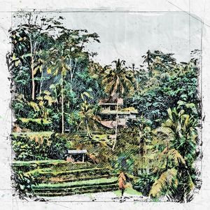 BALI PLANTAÇÃO ARROZ SKETCH