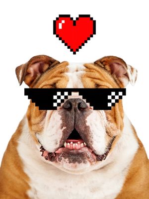 DOG LOVE - NOVO