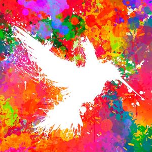 HUMMINGSPLAT - COLORLESS