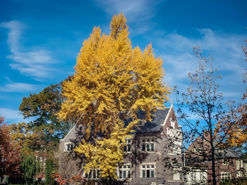 FALL USA