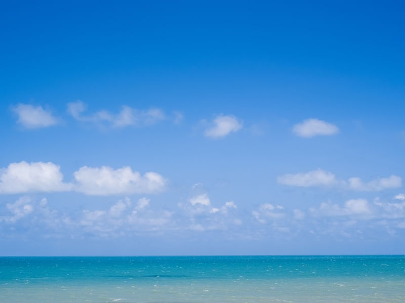 MAR DE TOUROS