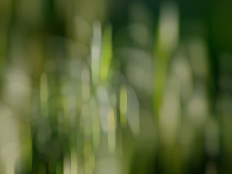 FORÇA DA NATUREZA VOSTRO