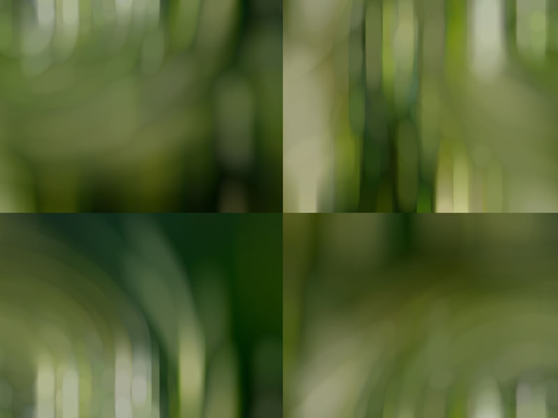 QUARTETO VERDE VOSTRO