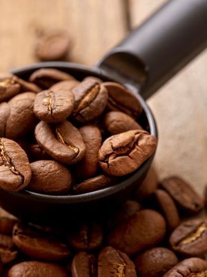 GRÃOS DE CAFÉ COLHER PARTE 2 DE 2