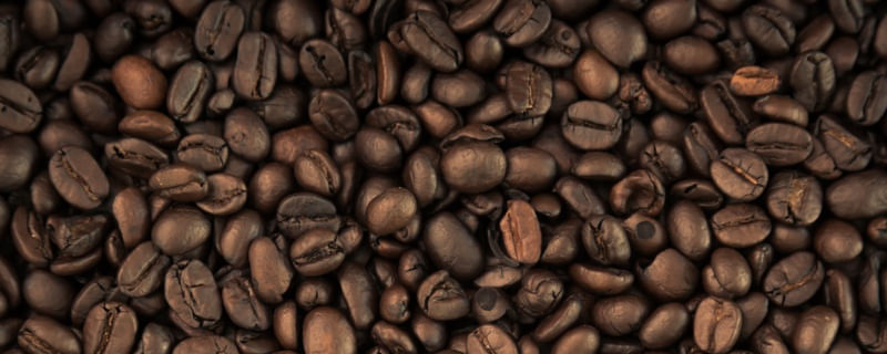 GRÃOS DE CAFÉ PANORÂMICO PARTE 1 DE 2