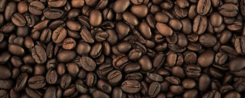 GRÃOS DE CAFÉ PANORÂMICO PARTE 2 DE 2