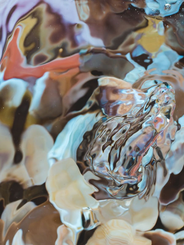 CONCHAS ABSTRATAS (1)