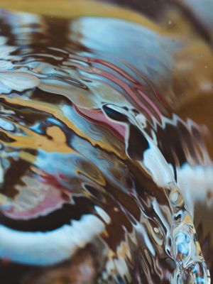 CONCHAS ABSTRATAS (2)