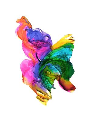 BUTTERFLY FLOW, RAINBOW 1