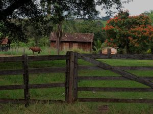DIA DE CAMPO