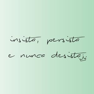 INSISTA, PERSISTA E NUNCA DESISTA