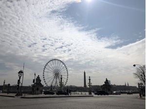PARIS RODA GIGANTE