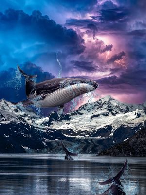 OCEANO SUSPENSO
